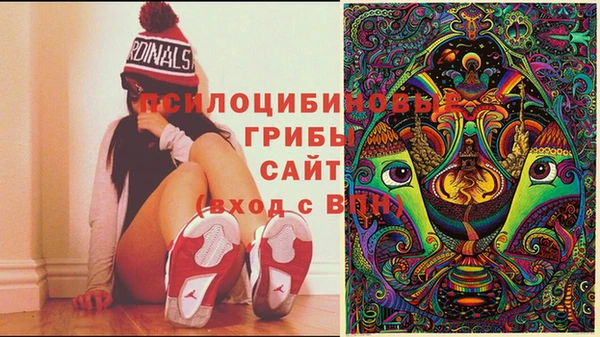 альфа пвп Володарск